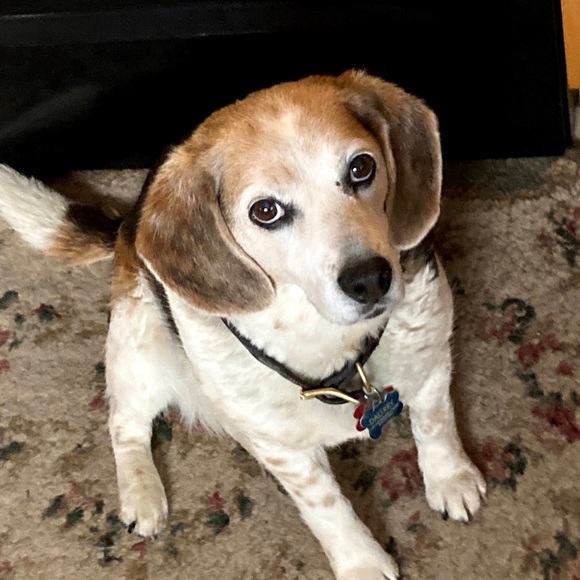 Meet your Posher, Ane - Picture 11 of 16